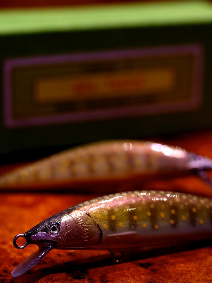 カツルアー katu lure 71LlEN6d6vL._UF894,1000_QL80_.jpg